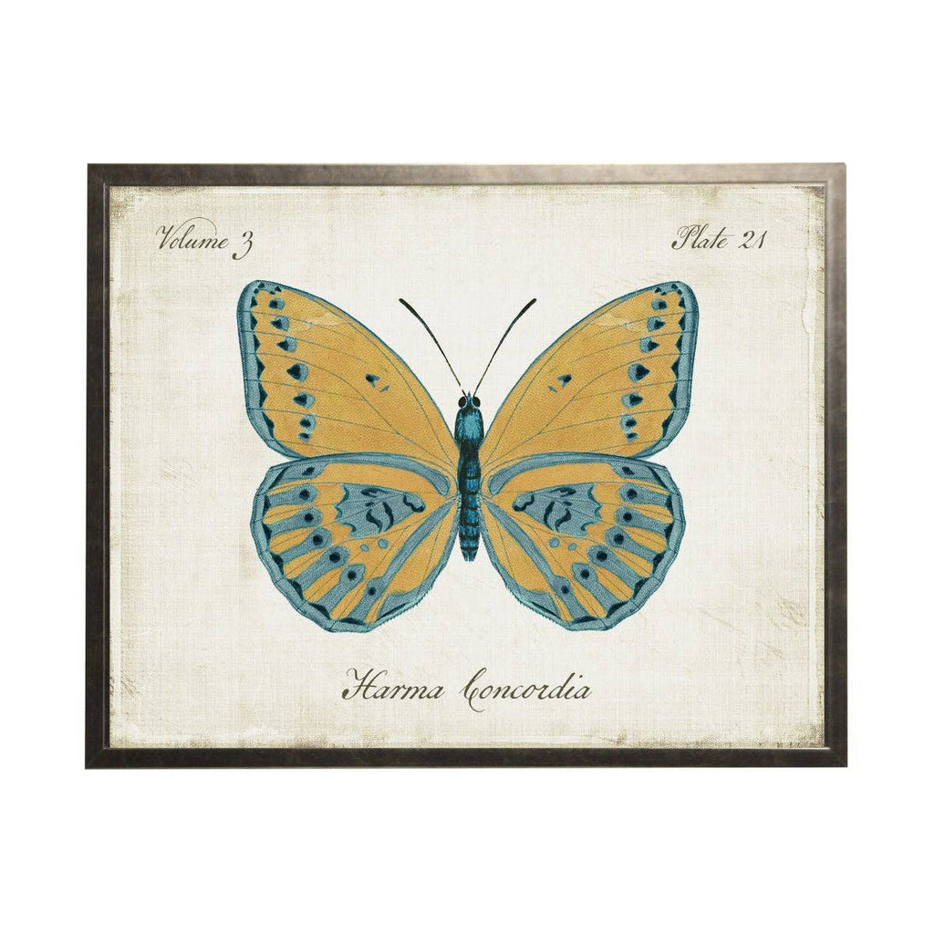 Gold Butterfly With Blue Hi-Lites: Silver Frame