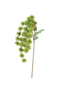 BOTANICA : Green / EVA Foam/Wire / 50"t