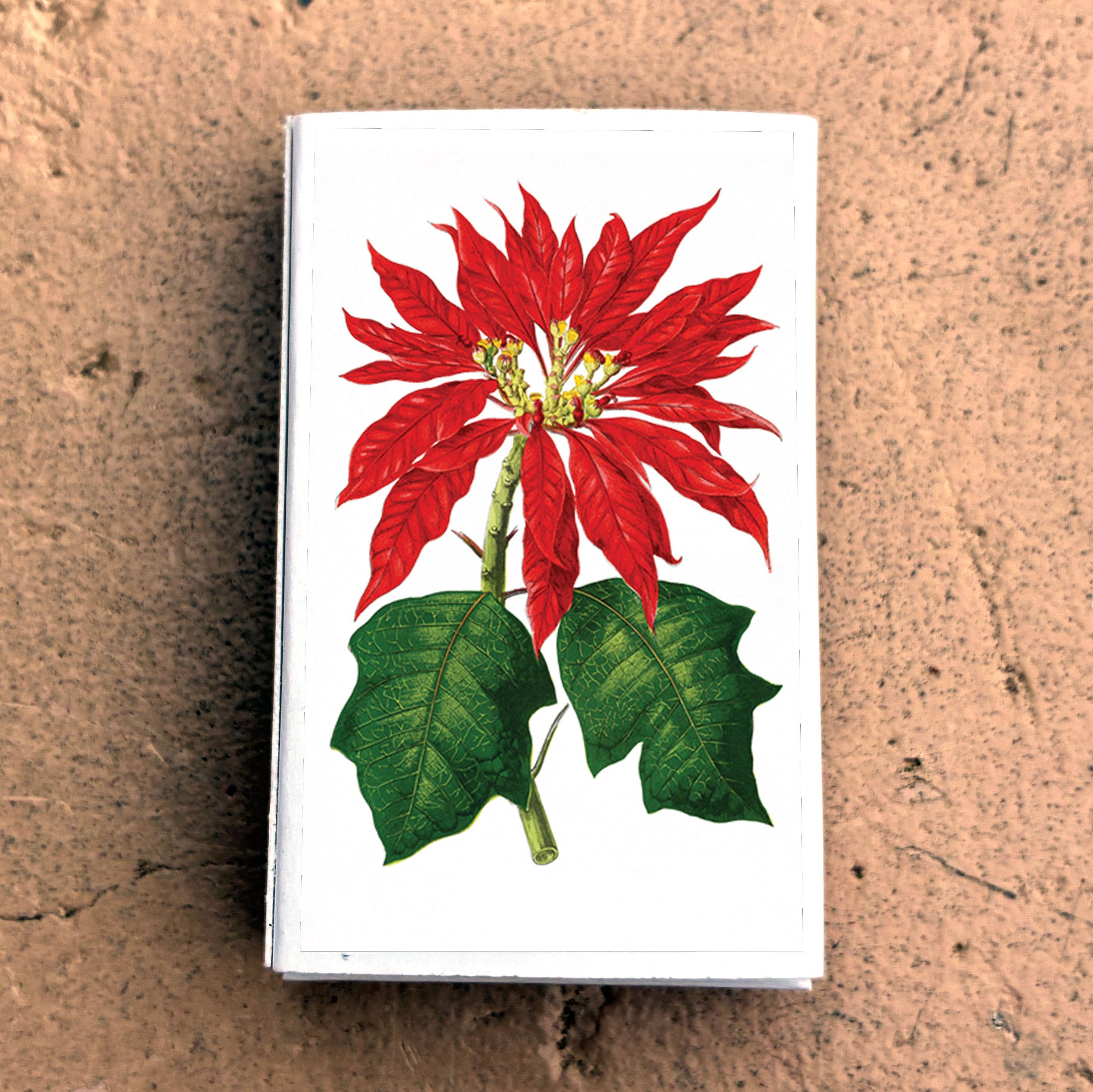 Matches • Poinsettia Flowers • Home Decor for Candles