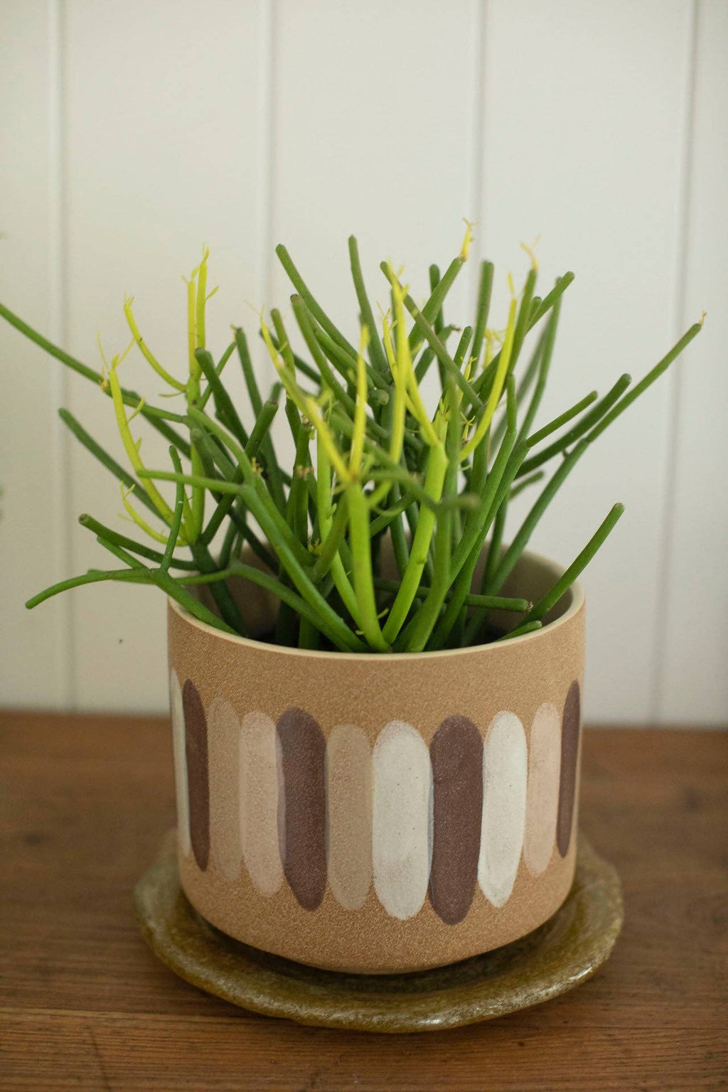 Ceramic Planter with Paint Strokes 7.5" x 7.5" x 6"