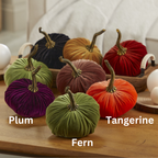 Pumpkin Small Velvet,  Fern