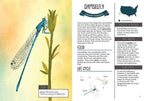 Kid’s Guide to Backyard Bugs