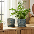 Blue 6/8 in. Ceramic Squoval Saucer Planter (Set of 2)