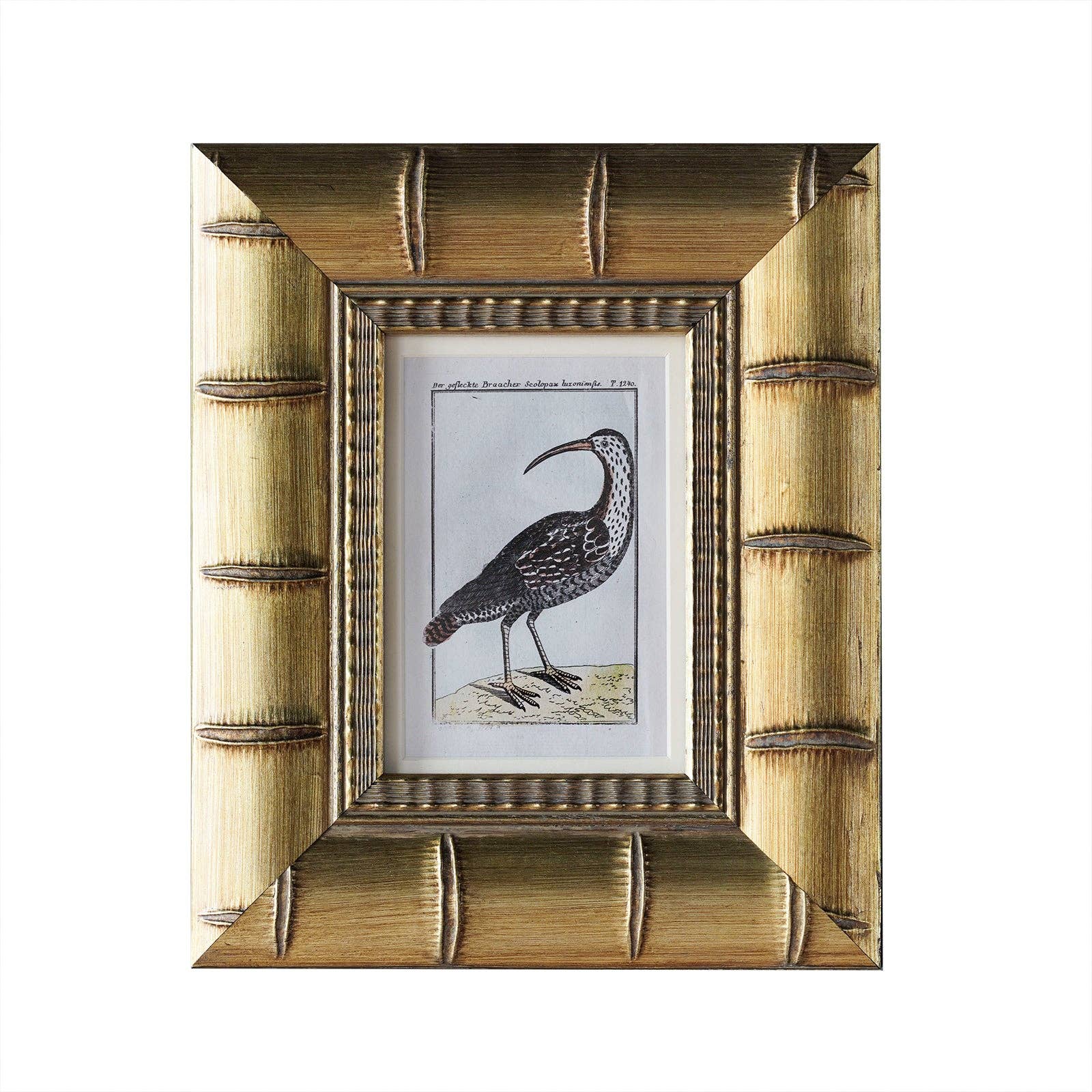 Brixham Matted Frame: 5" x 7" w. Stand