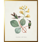 Vintage hummingbird : Beaded Gold Frame/ 8" X 10"