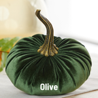 Pumpkin Large Velvet,  Fern