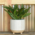 Ramos Chevron Cachepot, Stoneware - 6
