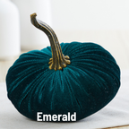 Pumpkin Small Velvet, Harvest
