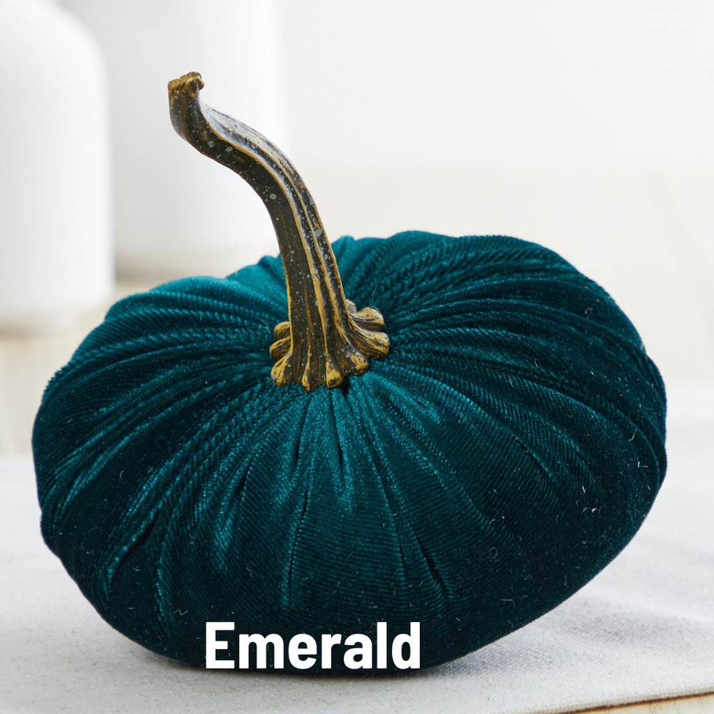 Pumpkin Small Velvet,  Fern