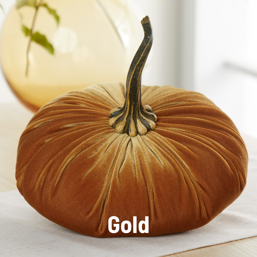 Pumpkin Extra Large Velvet,Harvest