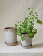 Coventry Terracotta Pots: Pale Gray / 6.3"d x 6"h