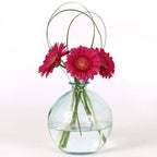 Globe Vase, 7"