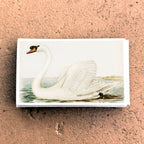 Matches • Swan Matchboxes • Home Decor for Candles & Incense
