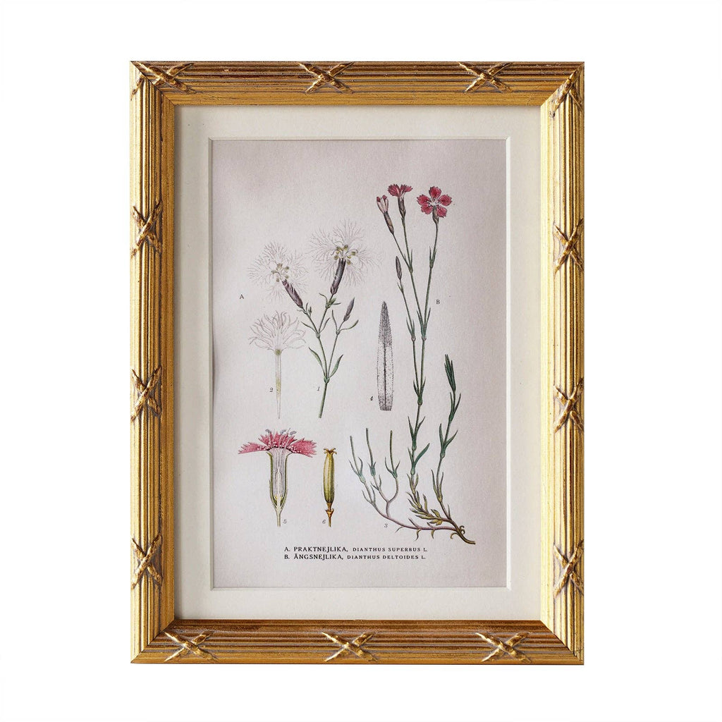 Arundel Matted Frame: 4"x6" w. Stand