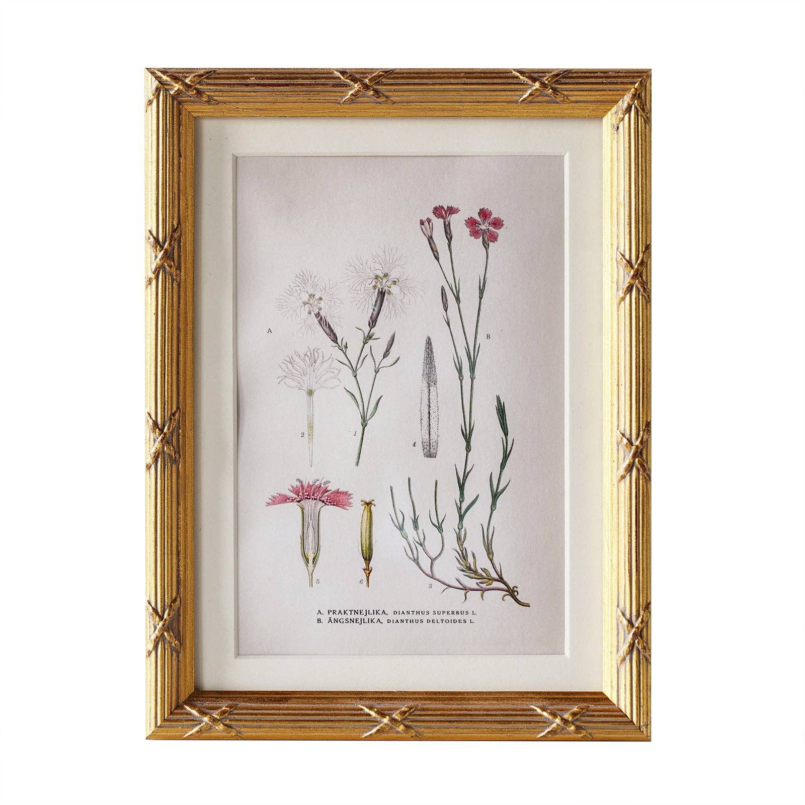 Arundel Matted Frame: 4"x6" w. Stand