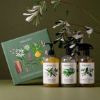 Koala Eco  Gift Set