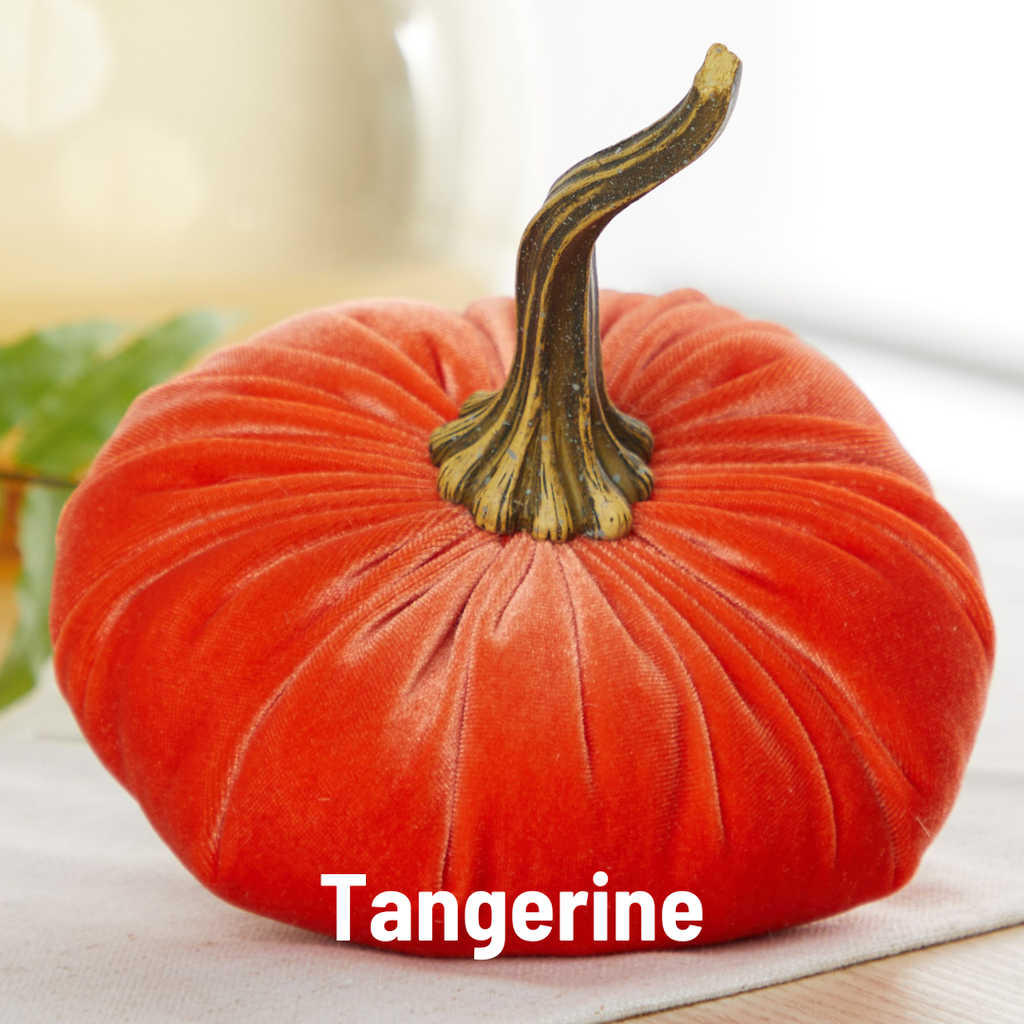 Pumpkin Large Velvet,  Fern