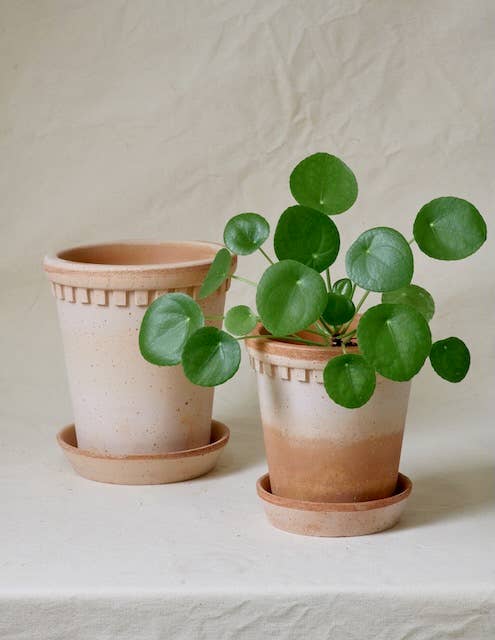 Coventry Terracotta Pots: Pale Terracotta / 7.5"d x 8"h