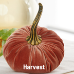 Pumpkin Large Velvet,  Fern
