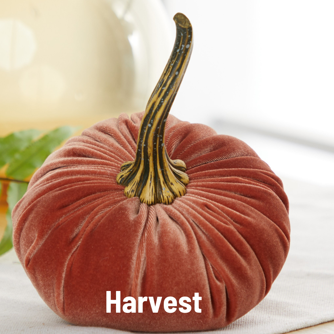 Pumpkin Large Velvet,  Fern