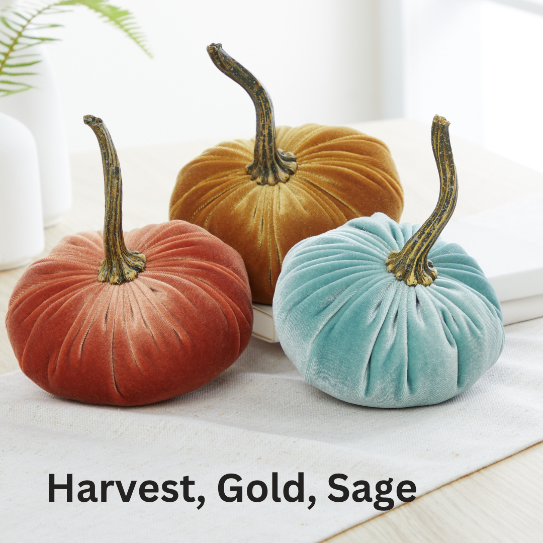 Pumpkin Small Velvet,  Fern