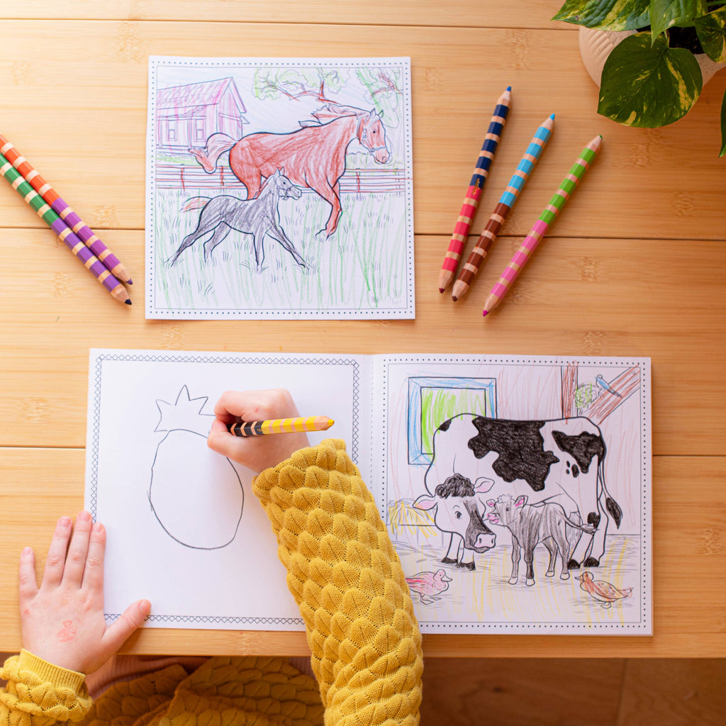 Little Farm Square Coloring Book