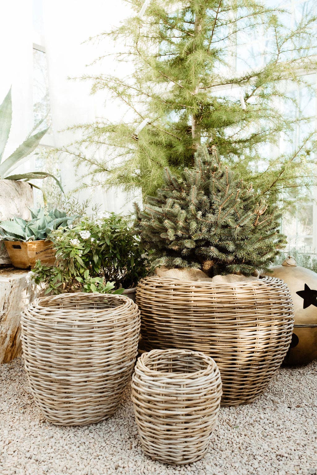 Rattan Garden Baskets: Large - 19 ½" H