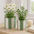 Planters  - Green/White Ceramic Striped, 6 in
