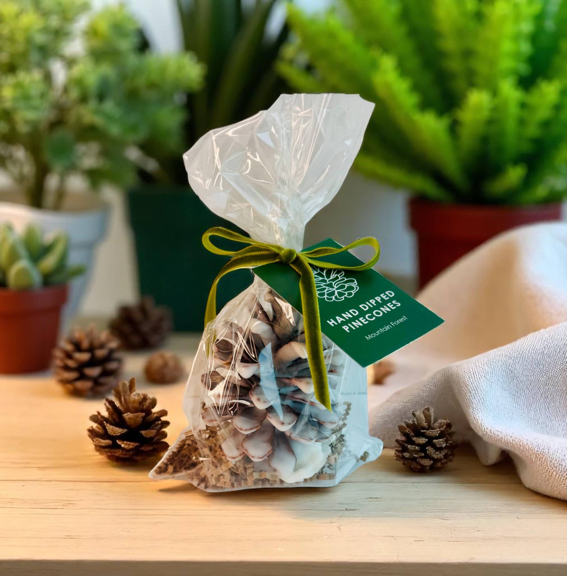 Wax Coated Pinecones | Hand Dipped | Scented Flameless Decor: Mountain Forest (Green Tag)
