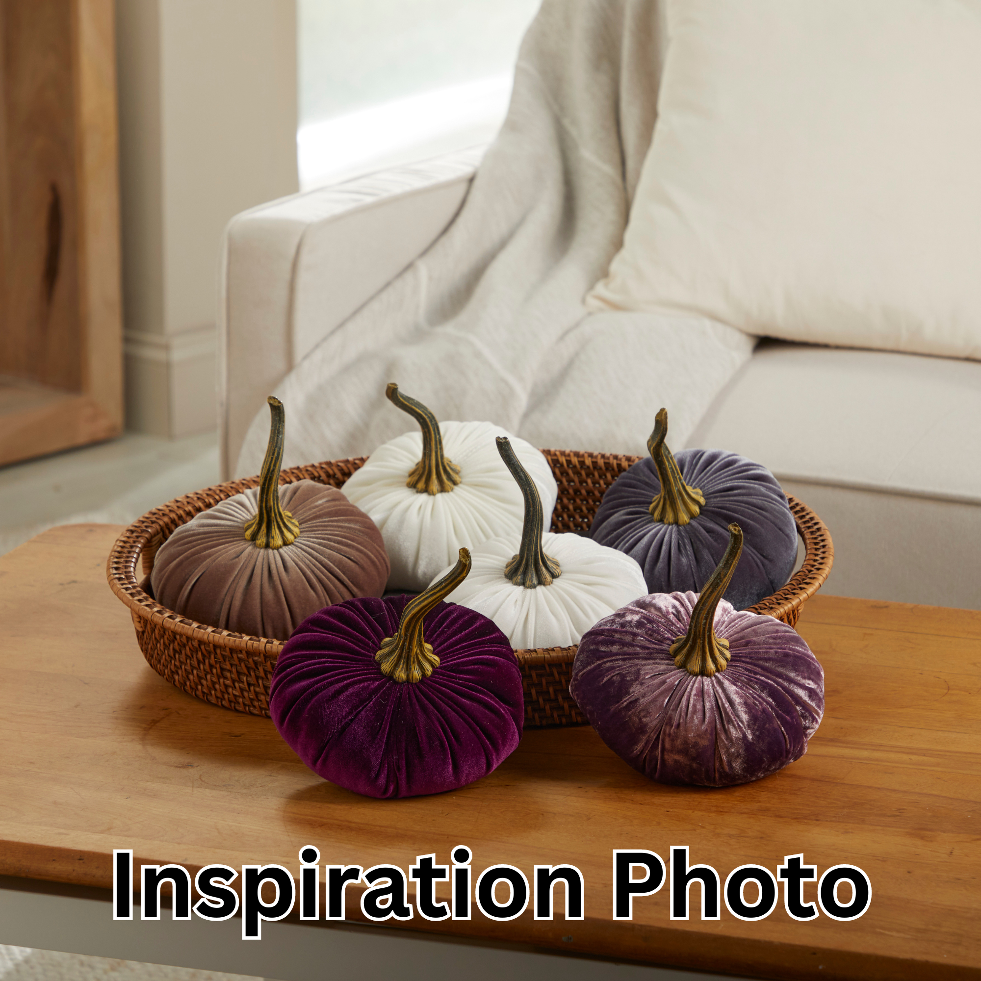 Pumpkin Large Velvet,  Fern