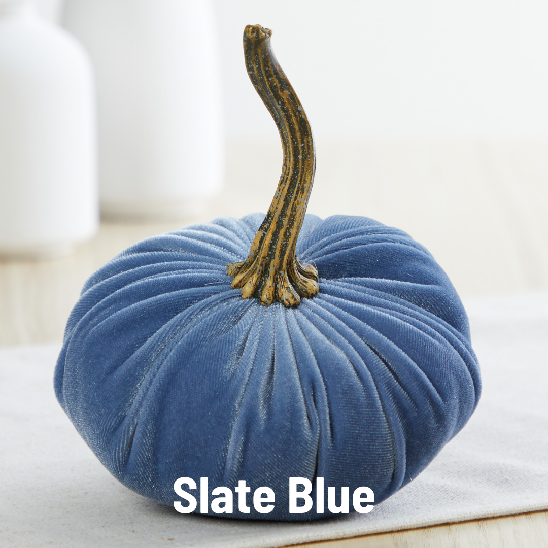 Pumpkin Small Velvet,  Fern