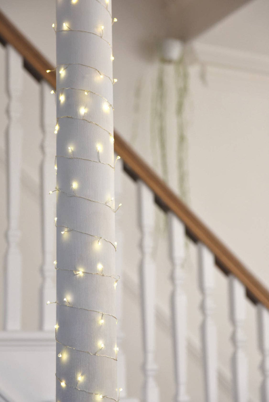 Cluster String Lights - Simple Battery LED Strings: Copper