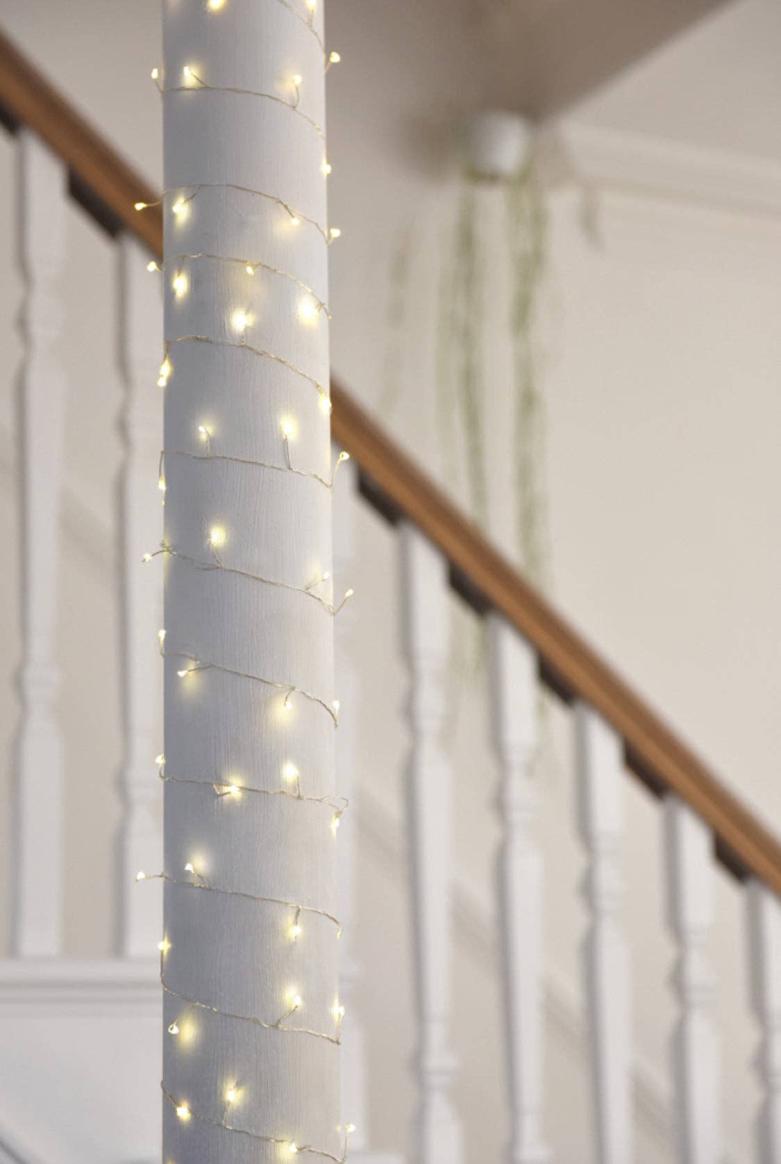 Cluster String Lights - Simple Battery LED Strings: Copper