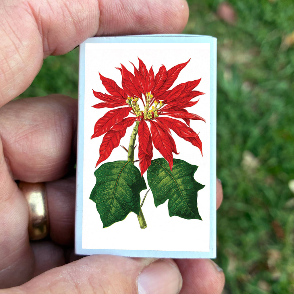 Matches • Poinsettia Flowers • Home Decor for Candles