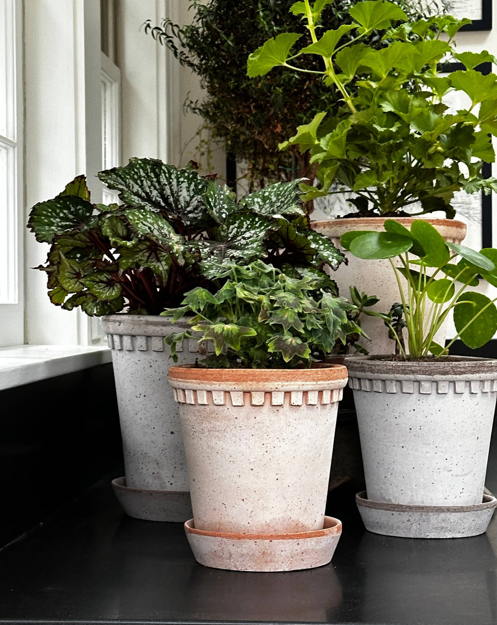 Coventry Terracotta Pots: Pale Terracotta / 7.5"d x 8"h