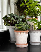 Coventry Terracotta Pots: Pale Terracotta / 7.5"d x 8"h