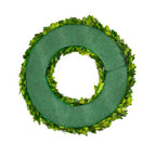 Preserved Boxwood Wreath - 16 Inch