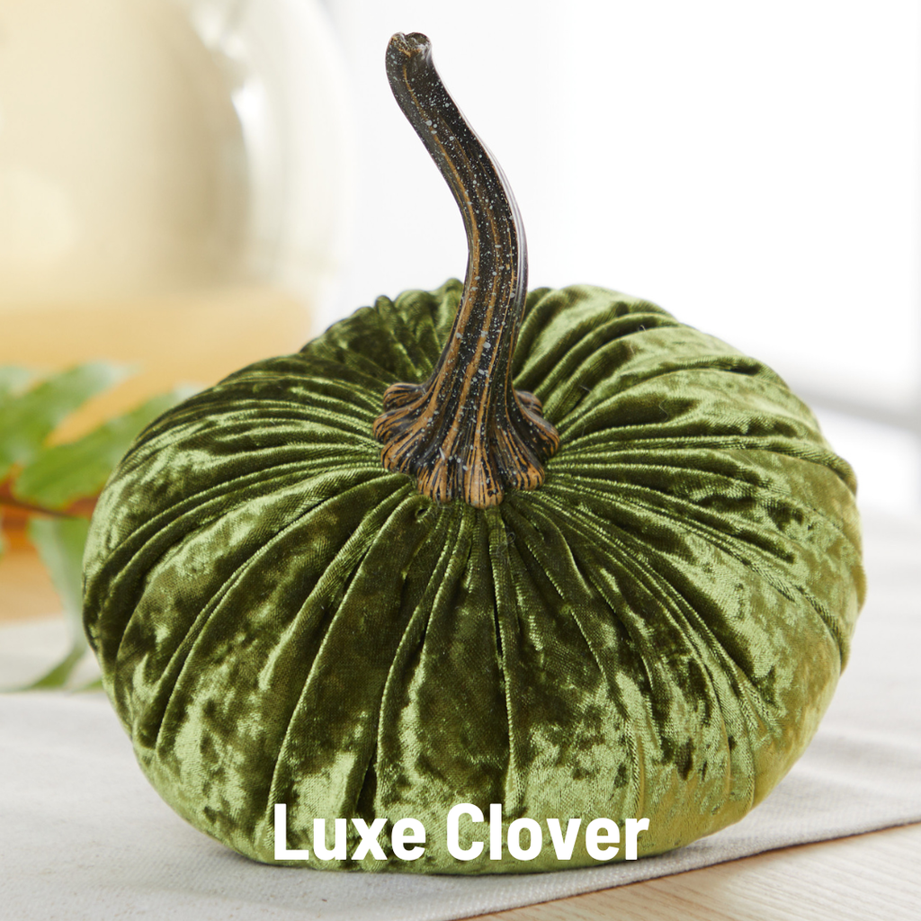 Pumpkin Small Velvet,  Fern