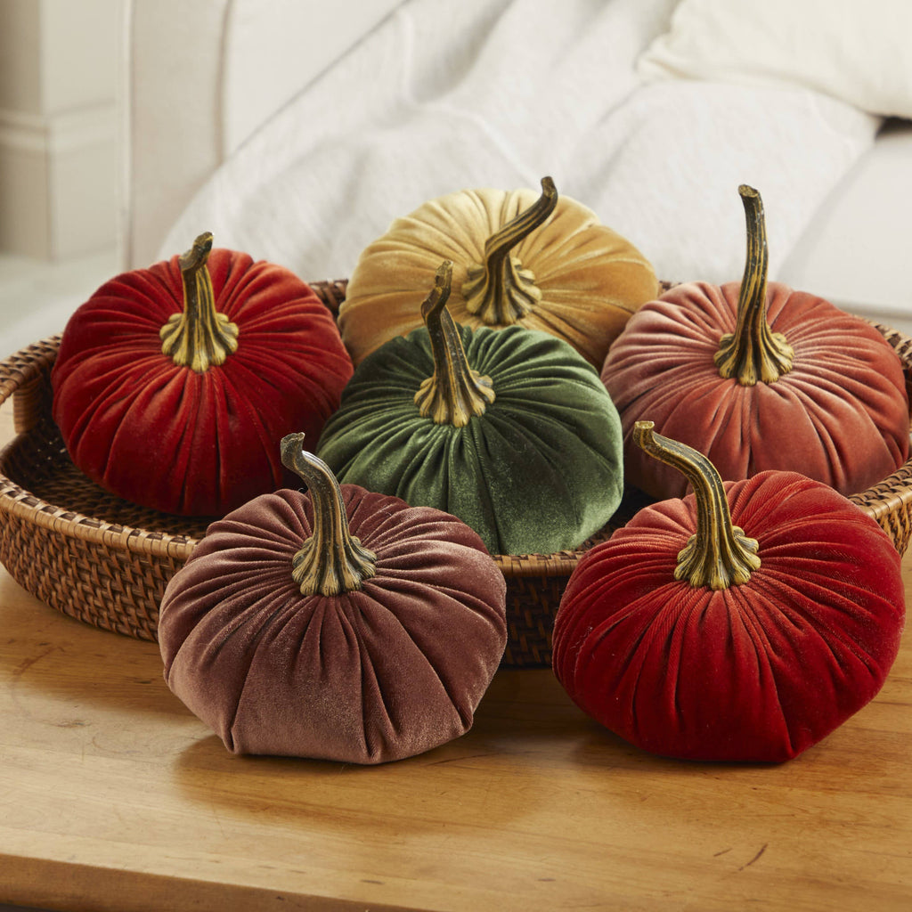 Pumpkin Large Velvet,  Fern