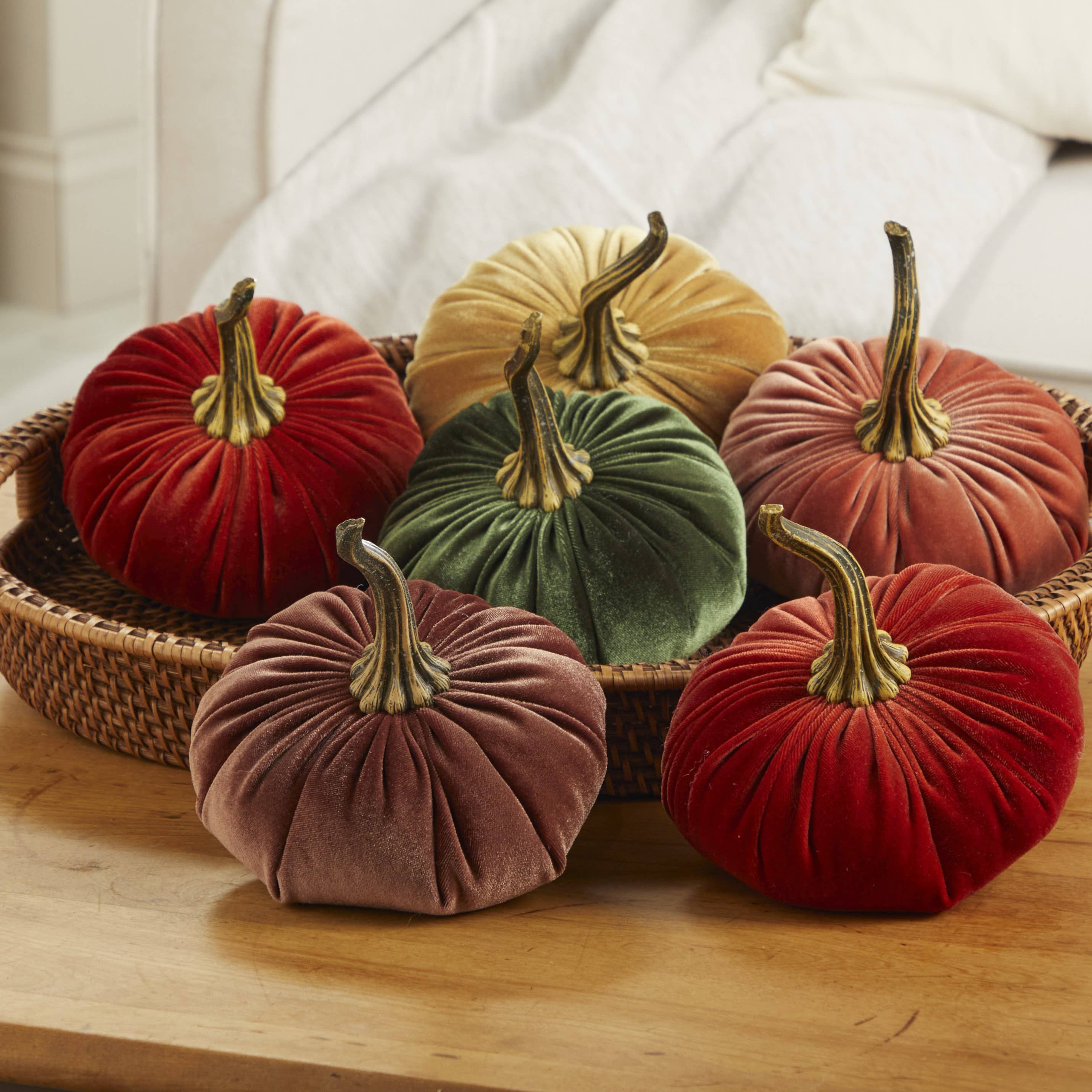Pumpkin Large Velvet,  Fern