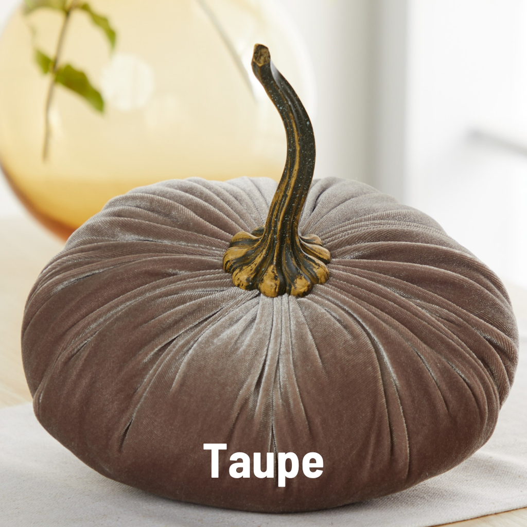 Pumpkin Extra Large Velvet, Ivory
