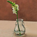 6 1/4" Small French Country Glass Vase
