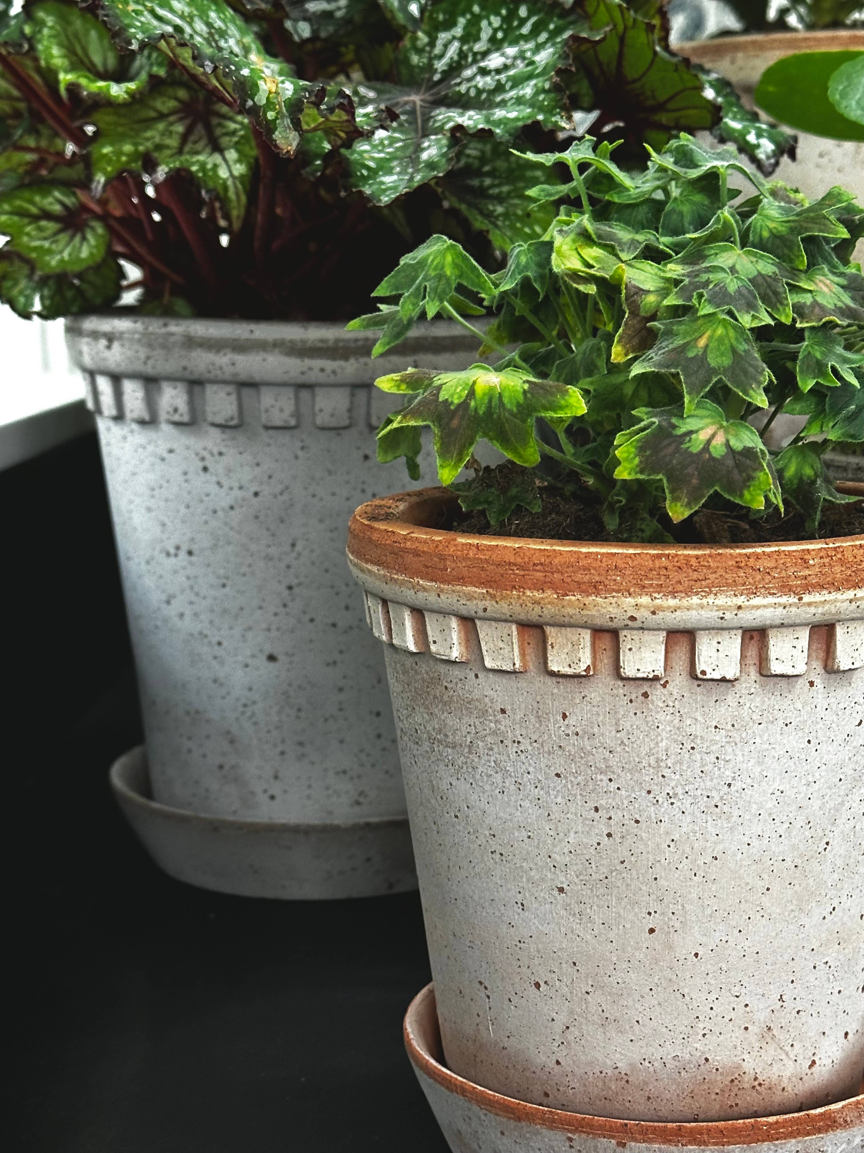 Coventry Terracotta Pots: Pale Terracotta / 6.3"d x 6"h