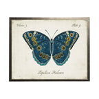 Vintage Bookplate With Navy And Gold Butterfly