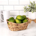Natural Hyacinth Tub w/Wire Frame