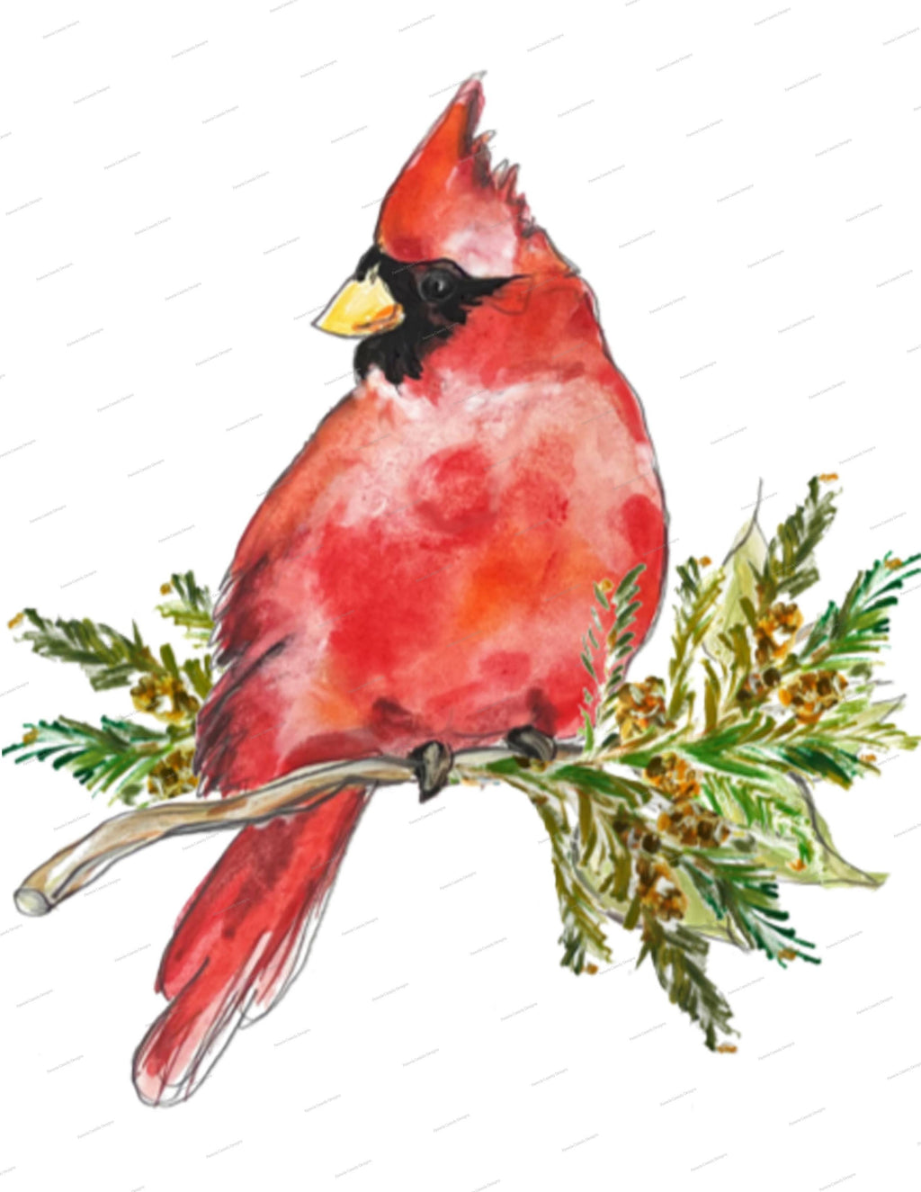 Cardinal Kitchen Towel
