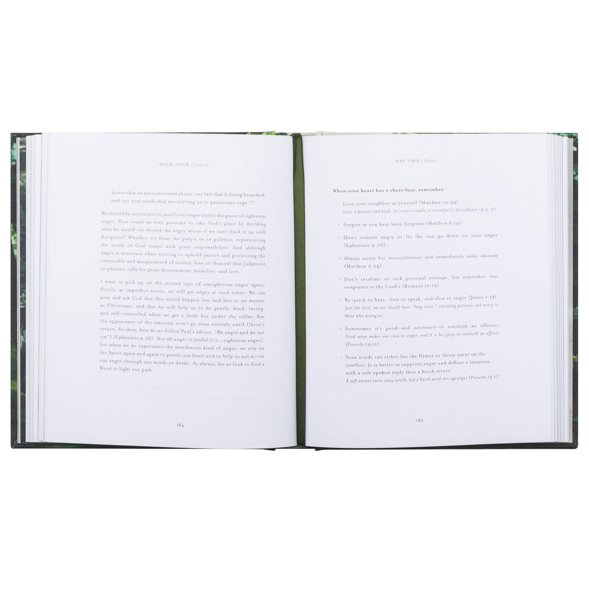 Bible Study: Unfold by Liesl Lamprecht