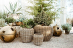 Rattan Garden Baskets: Medium - 15" H