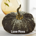 Pumpkin Extra Large Velvet, Ivory