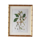 Arundel Matted Frame: 4"x6" w. Stand